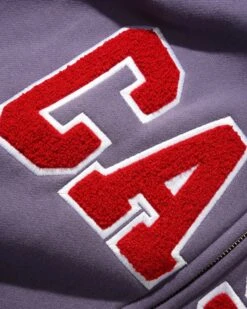 Cash Only Campus Zip-Thru Hood - Dusk -Baker Store CampusZip ThruHoodDusk3