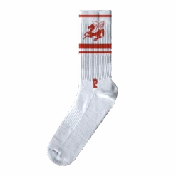 Psockadelic Horse Power Socks