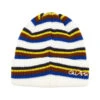 Quasi Wastoid Beanie - Multi -Baker Store quasi skateboards wastoid beanie multi 1